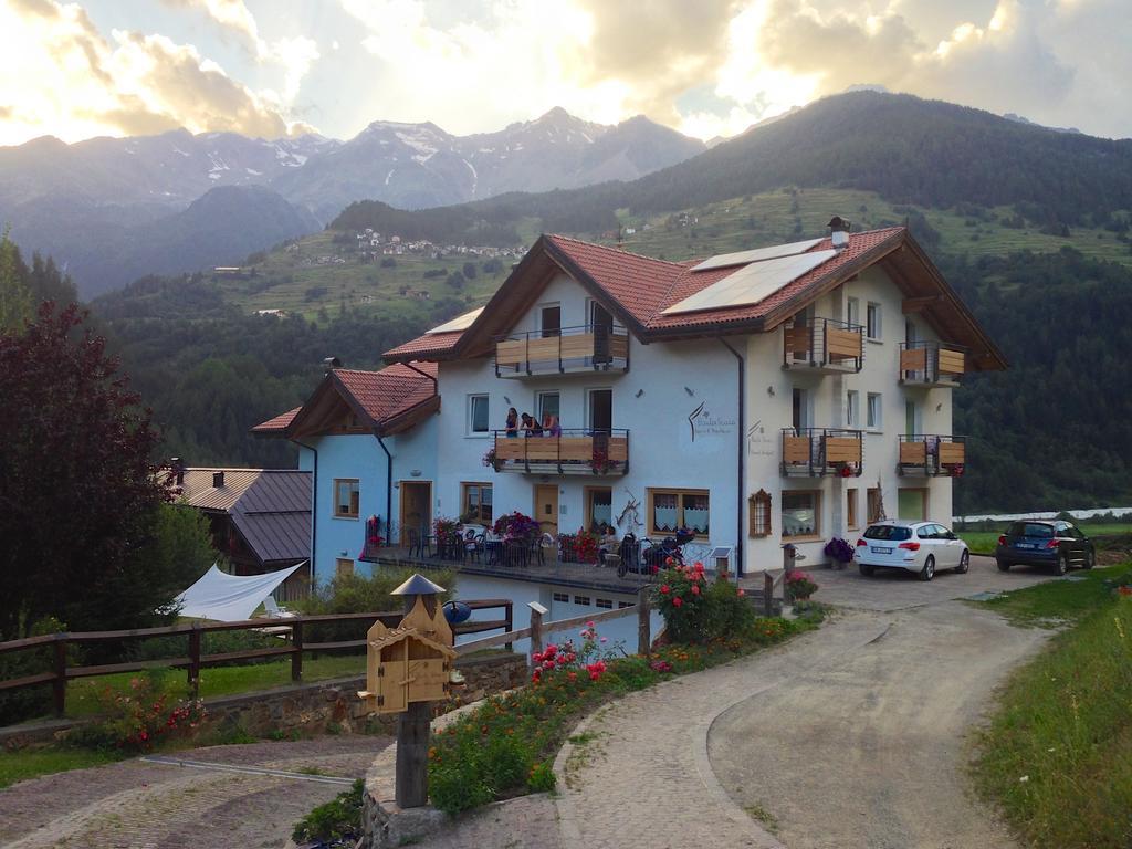 코골로 Baita Scaia B&B 외부 사진
